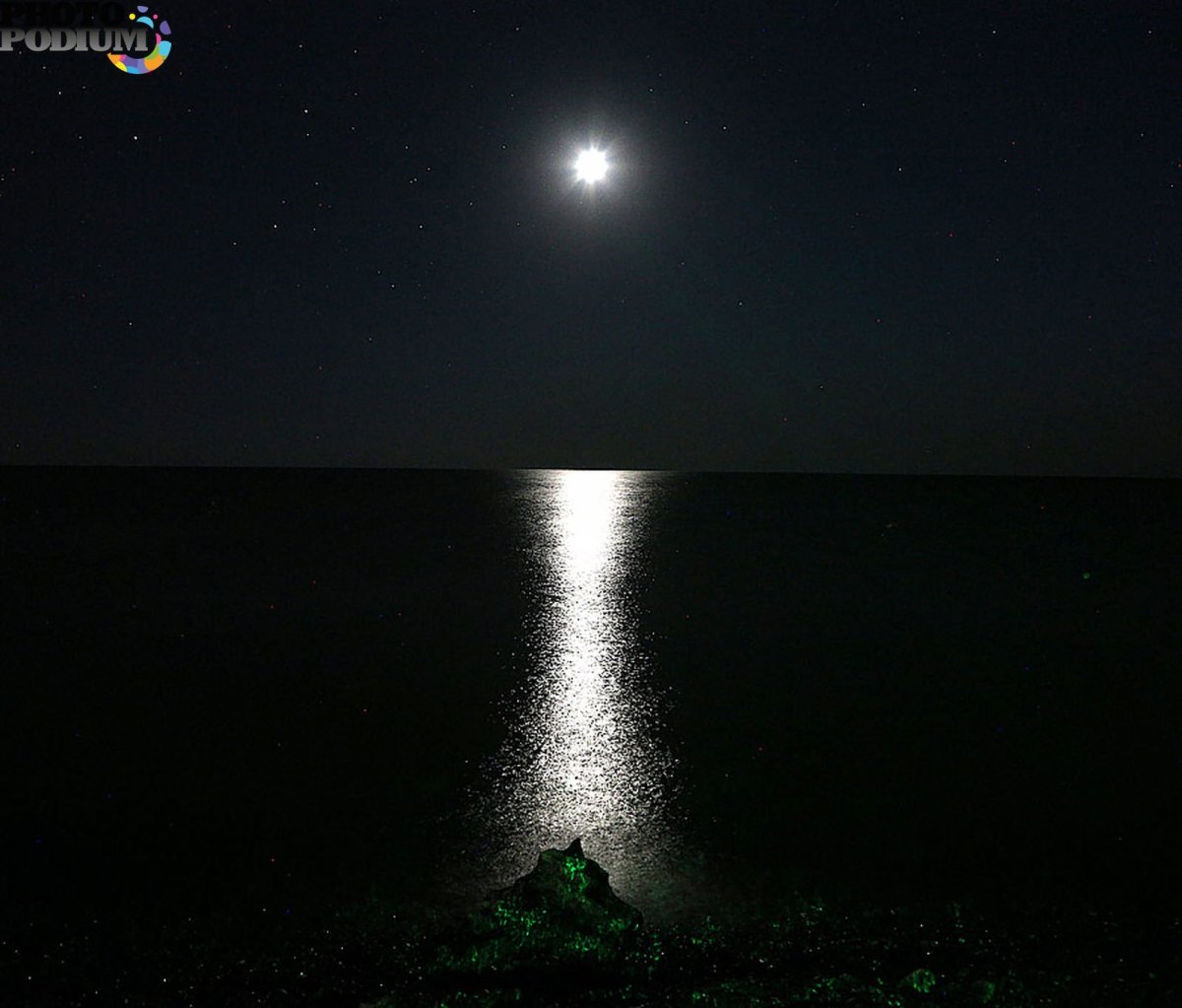 Лунная дорожка