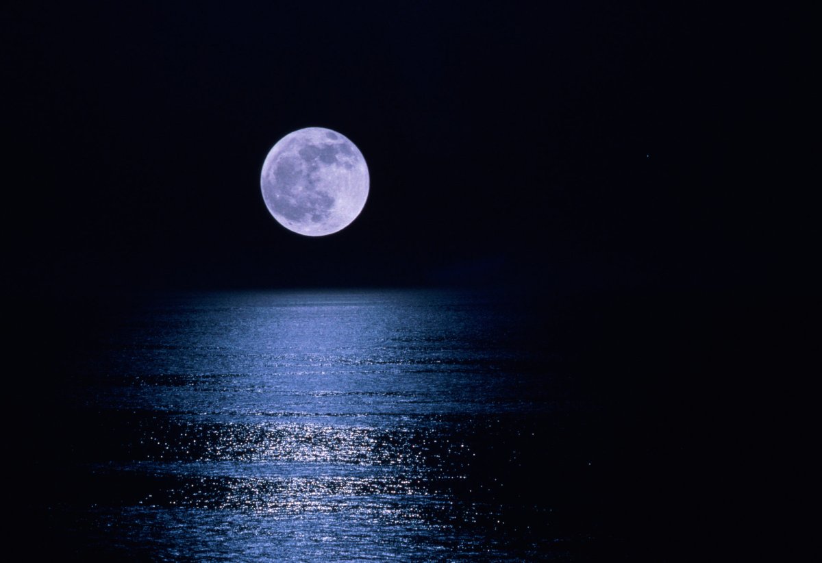 Мангата Лунная дорожка