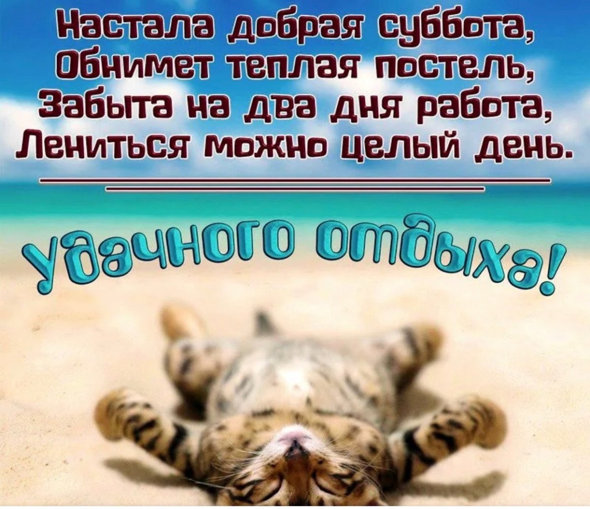 Поздравления с субботой прикольные в картинках