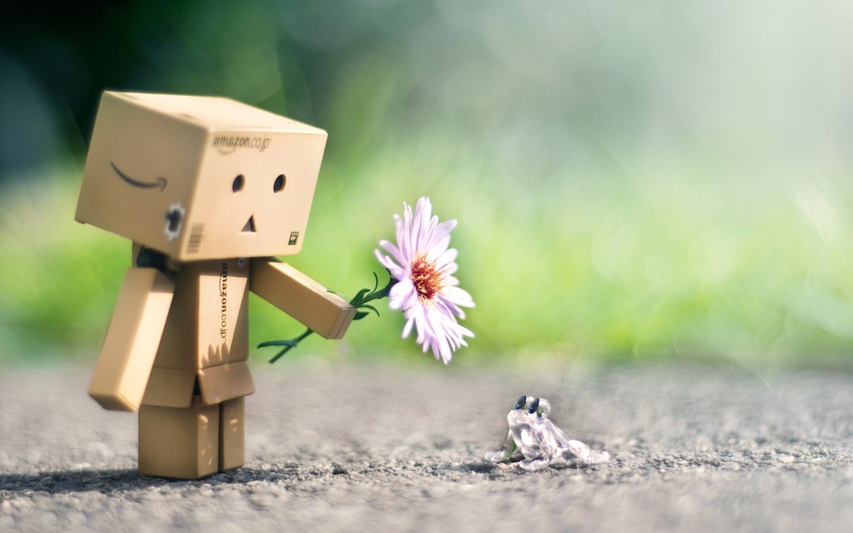 Картонный человечек Danbo