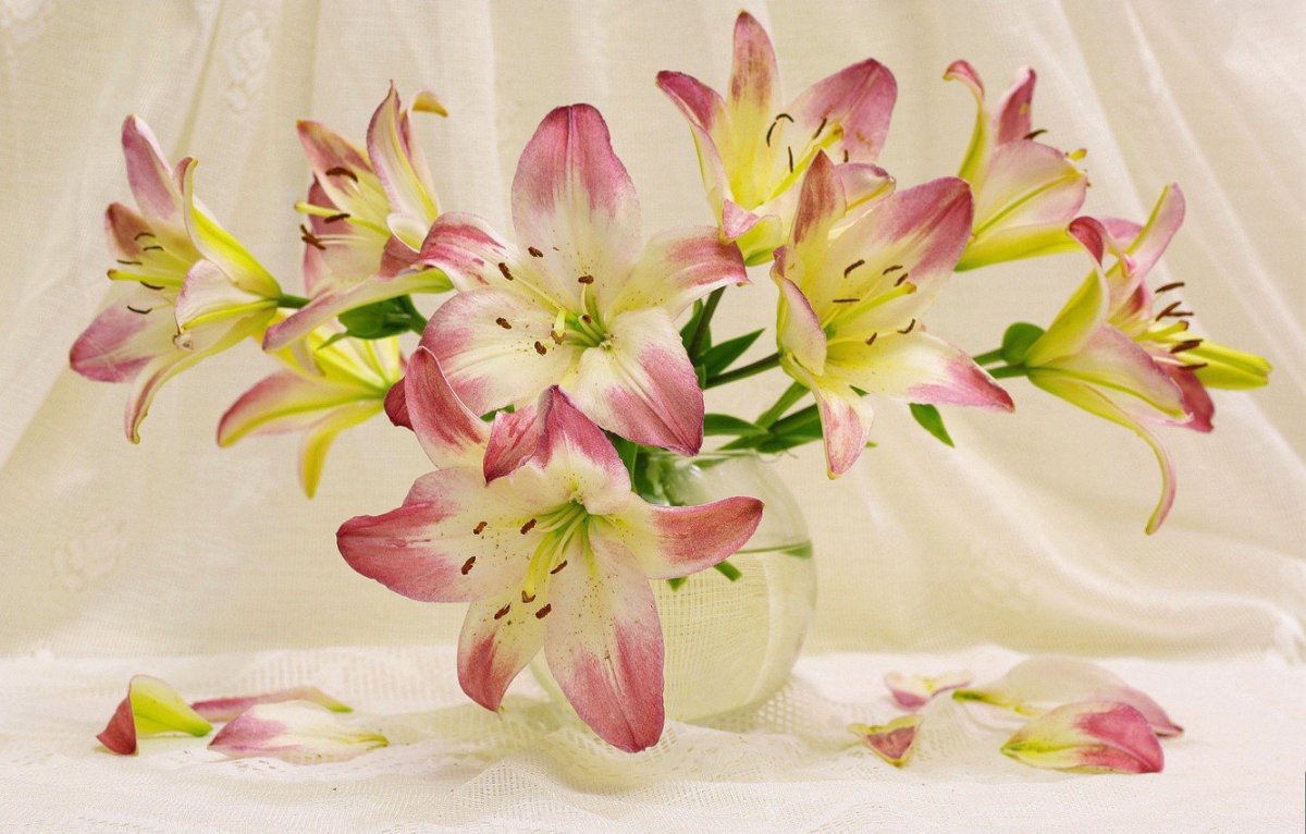 Букет нежных лилий