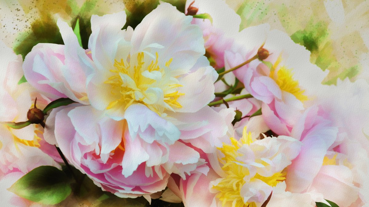 Цветы Альберто Гильен