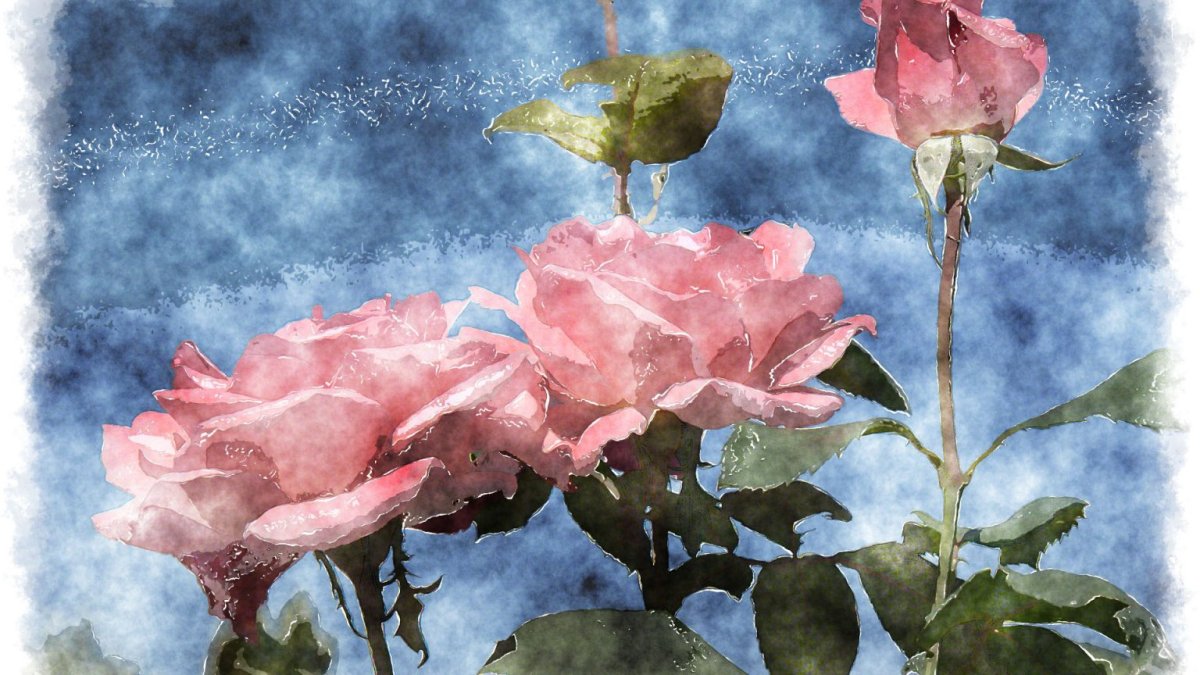 Акварельные цветы