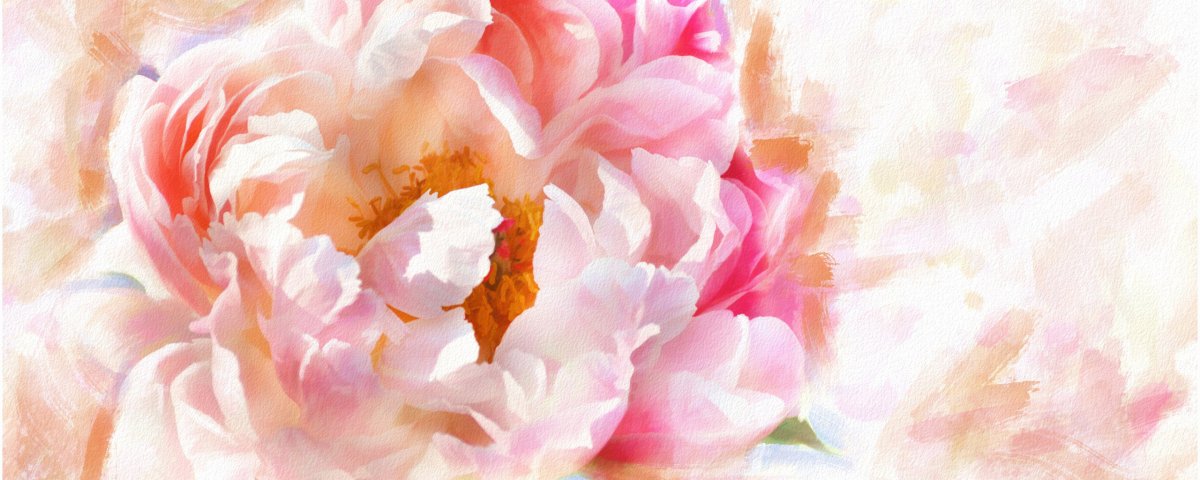 Фон пионы акварель