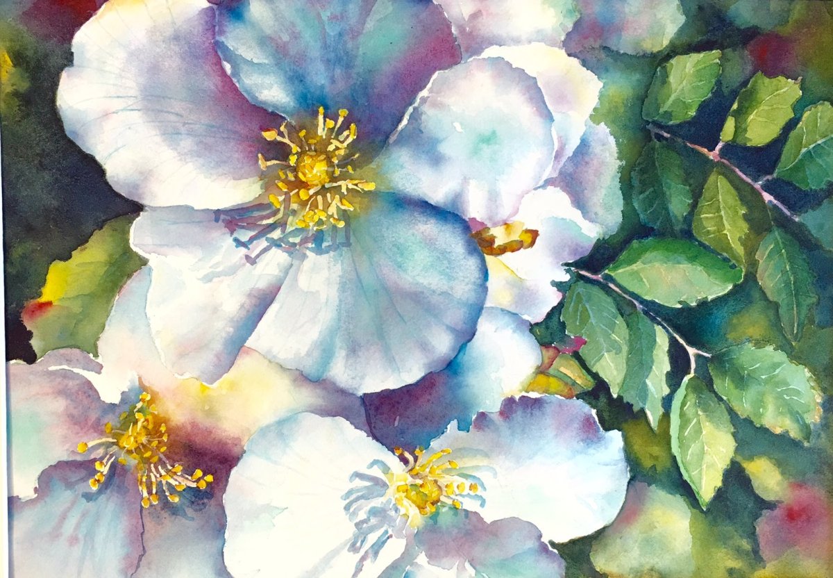 Акварель ирисы Альберто Гильен