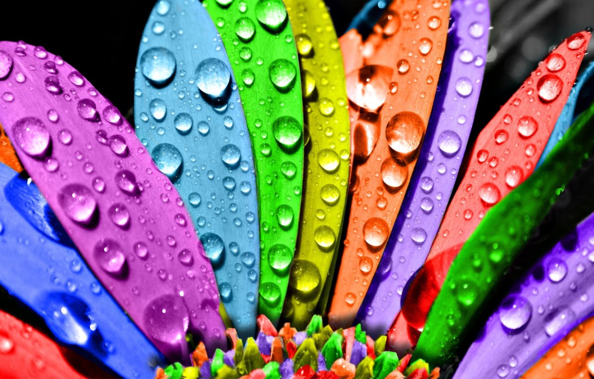 Разноцветные фрукты