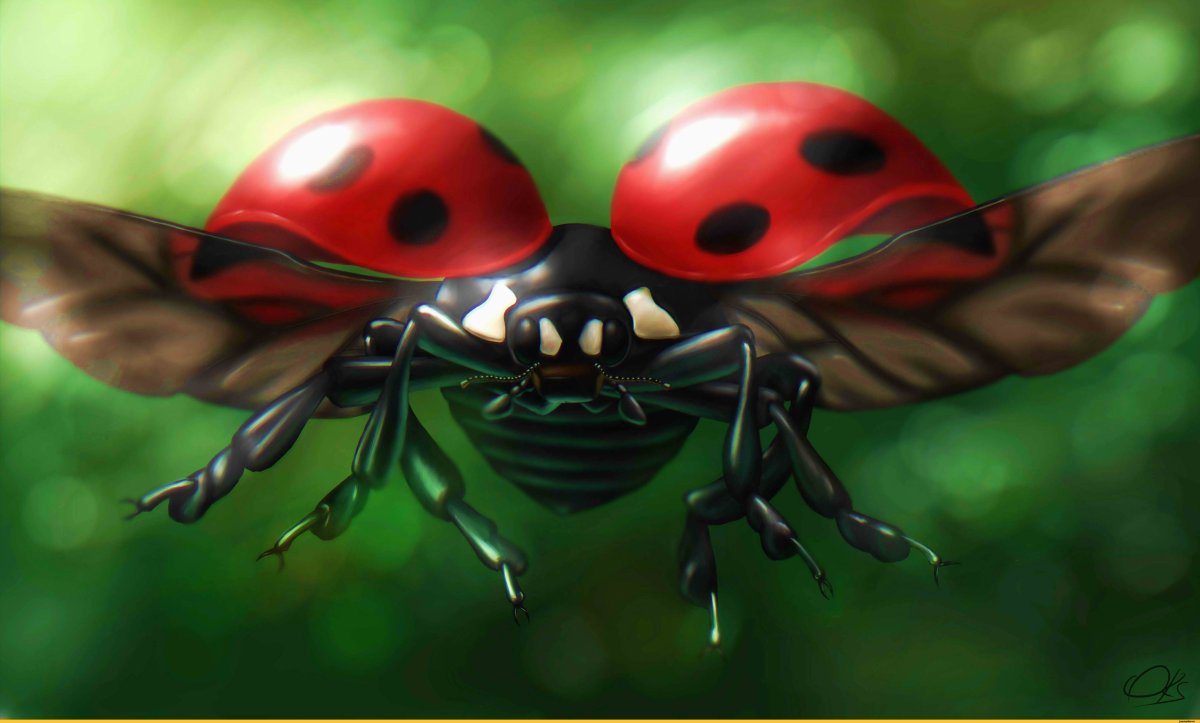 Насекомые для дошкольников