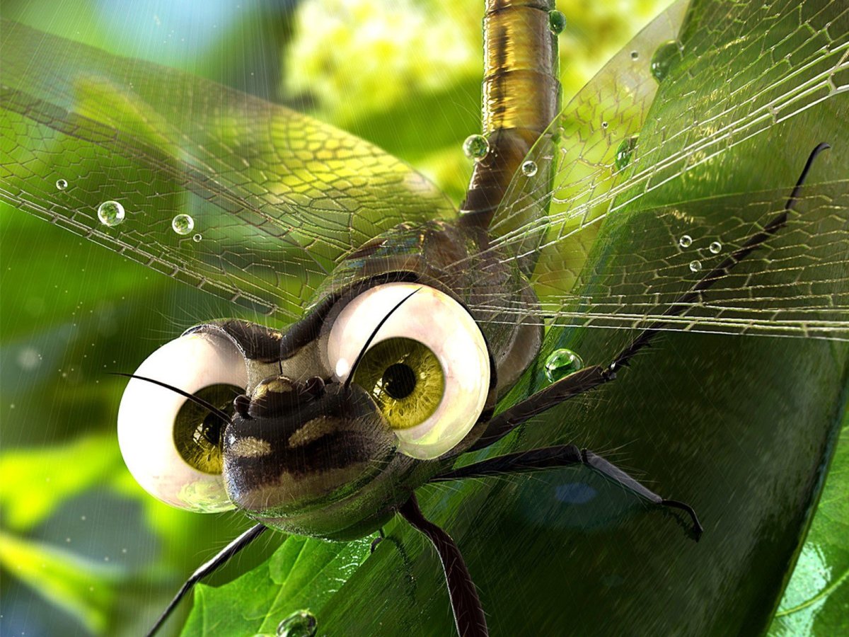 Семиточечная коровка