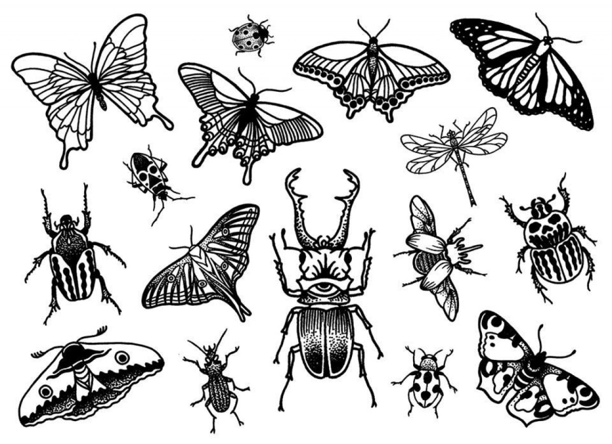 Насекомые игры для дошкольников