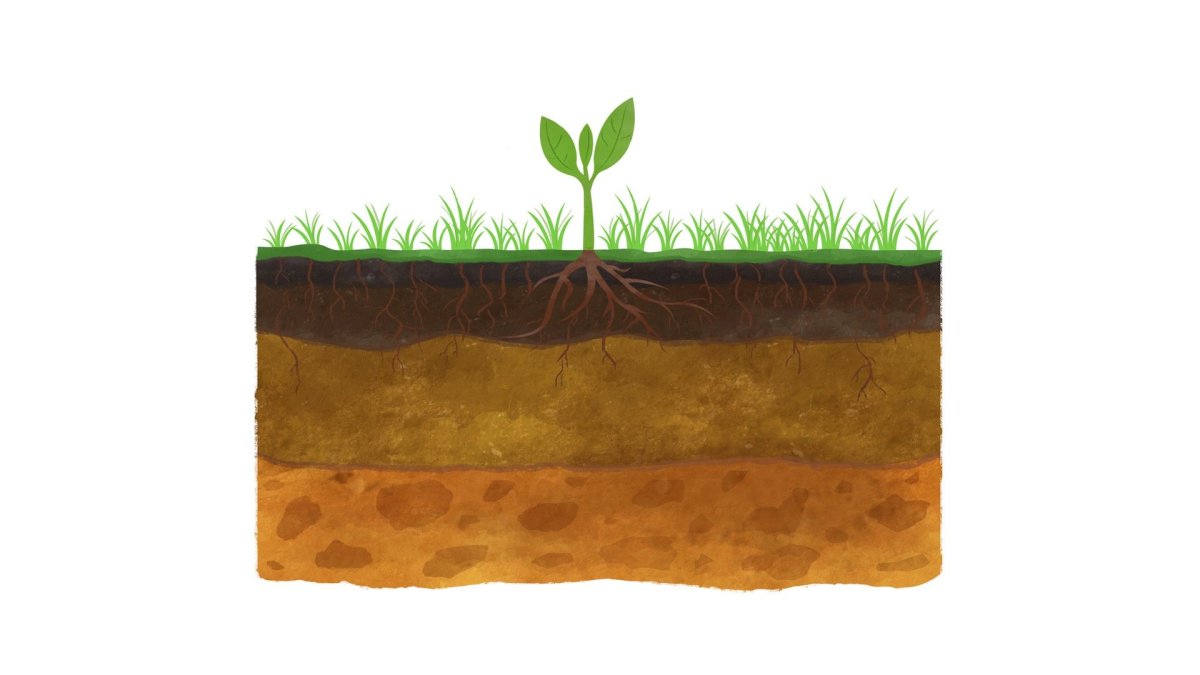 Земля почва