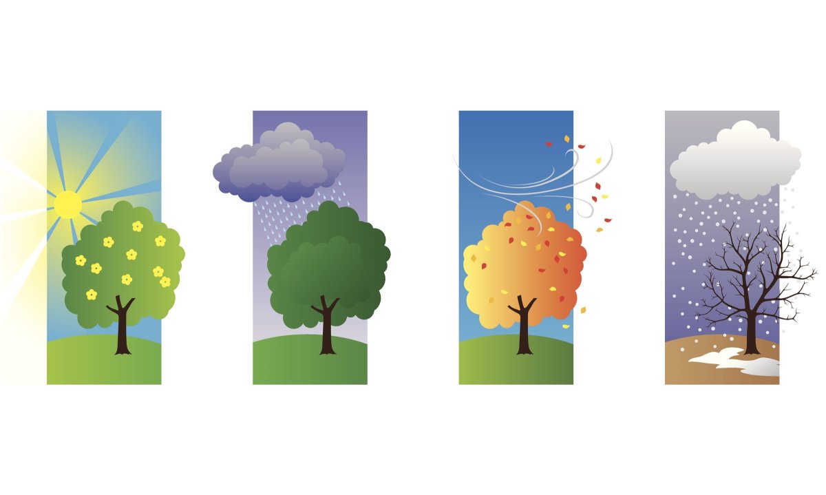 Рисунок времена года на одном листе