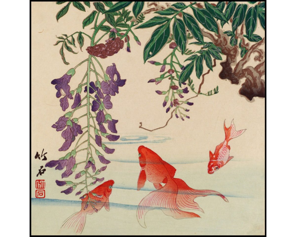 Глициния японская гравюра