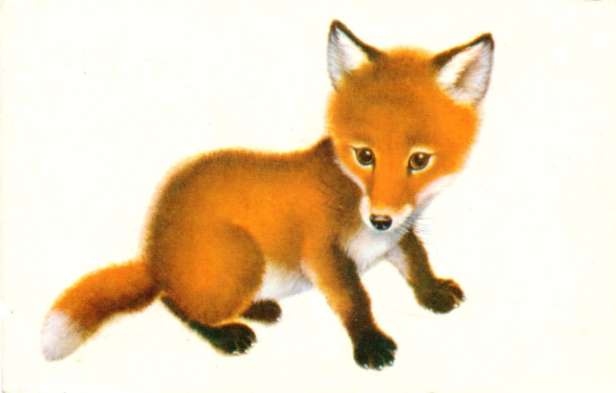 Лисенок для детей