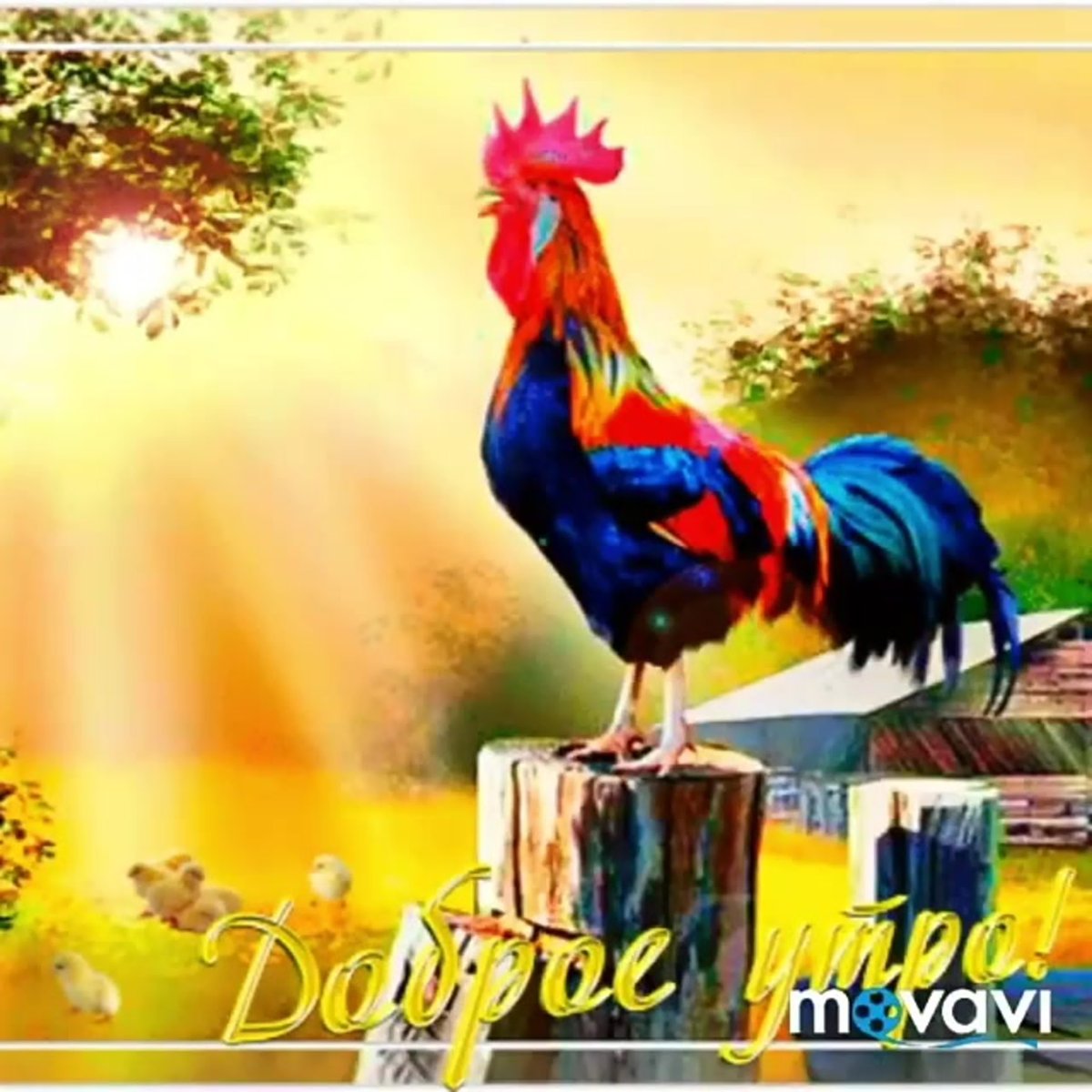 Стикеры с добрым утром и хорошего дня