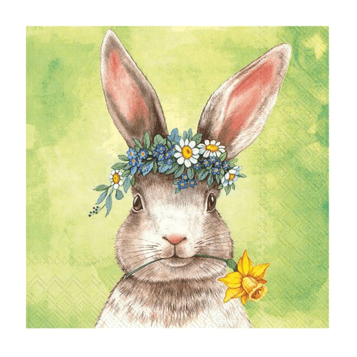 Оксана Фомина иллюстрации кролики