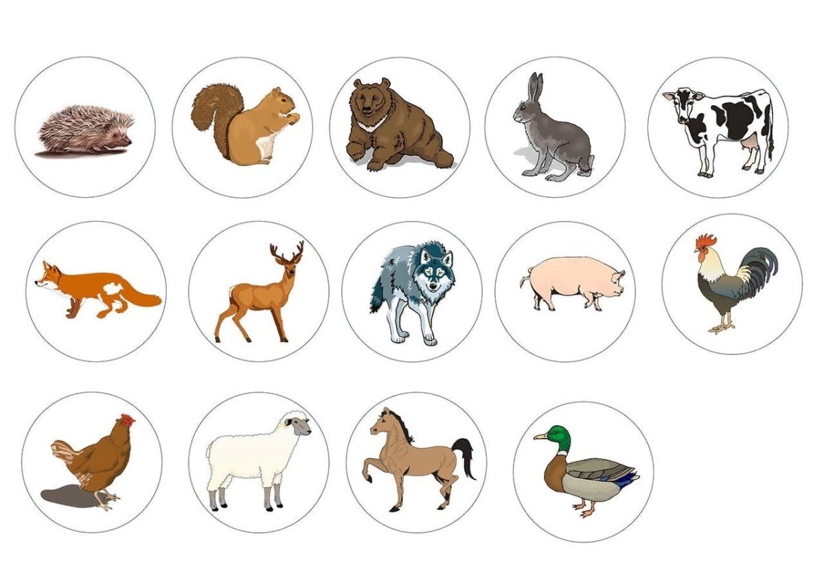 Дидактическая игра кто где обитает