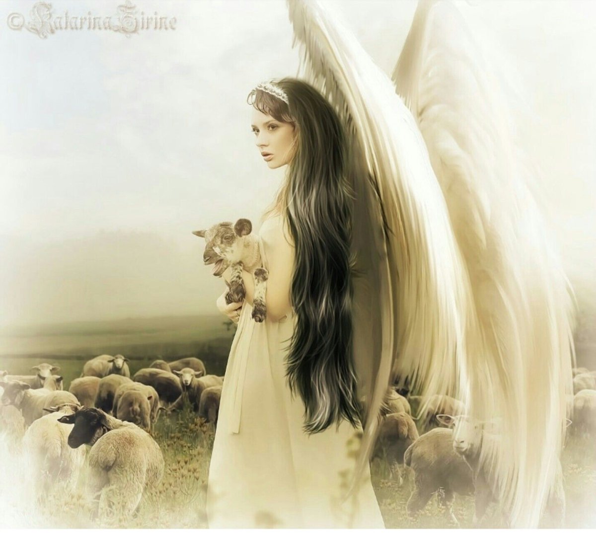 Королева ангелов