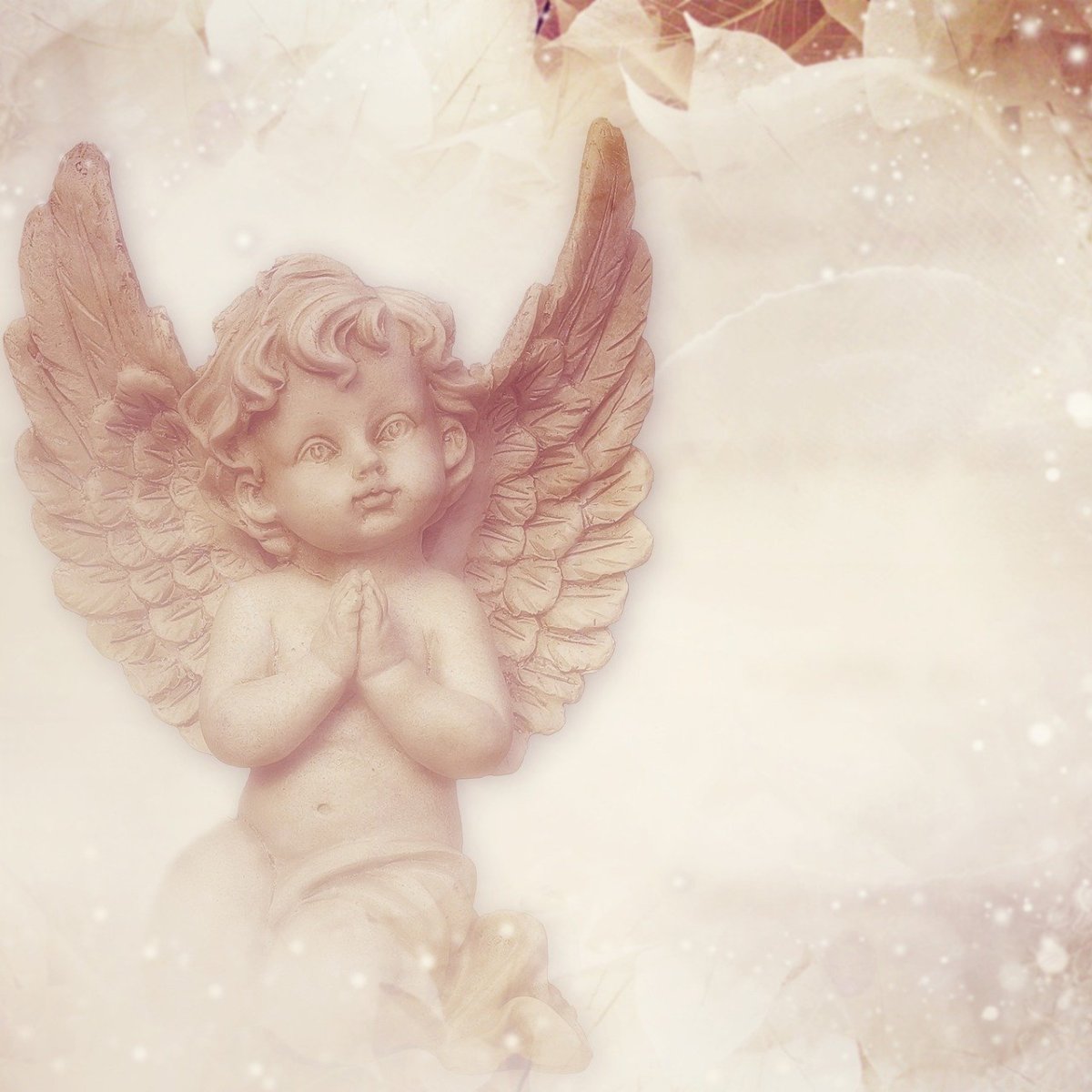 Шентяева Ксения Александровна Волгоград