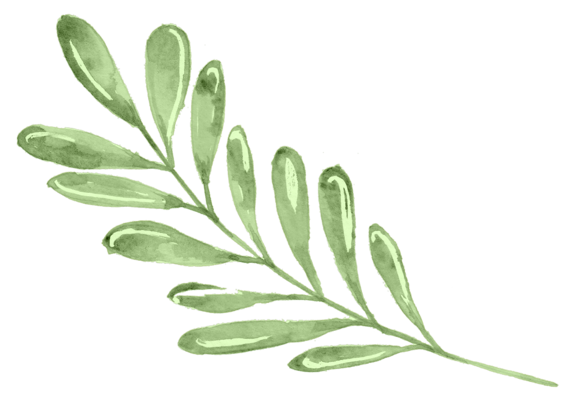 Пин растения на белом фоне