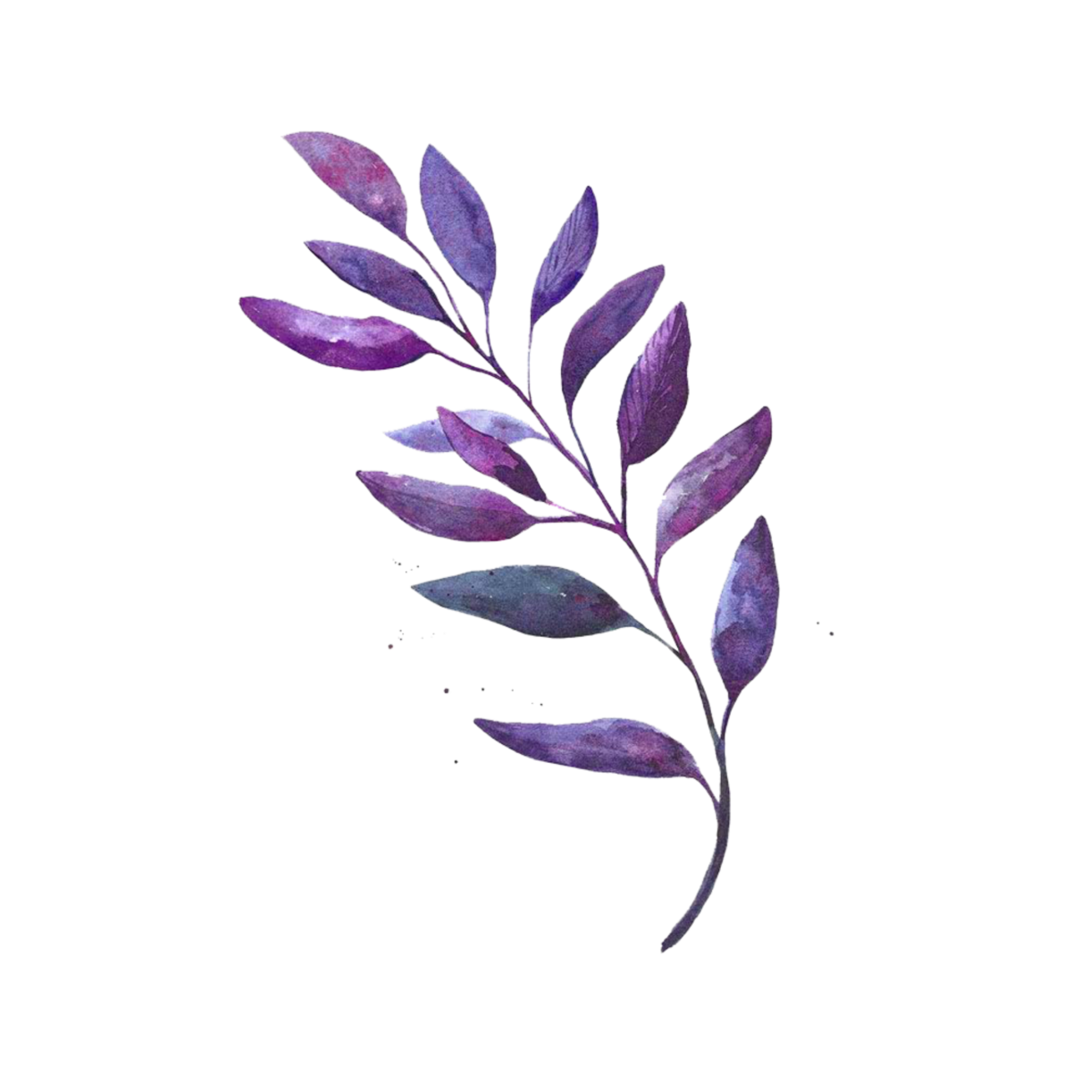 Веточка зелени