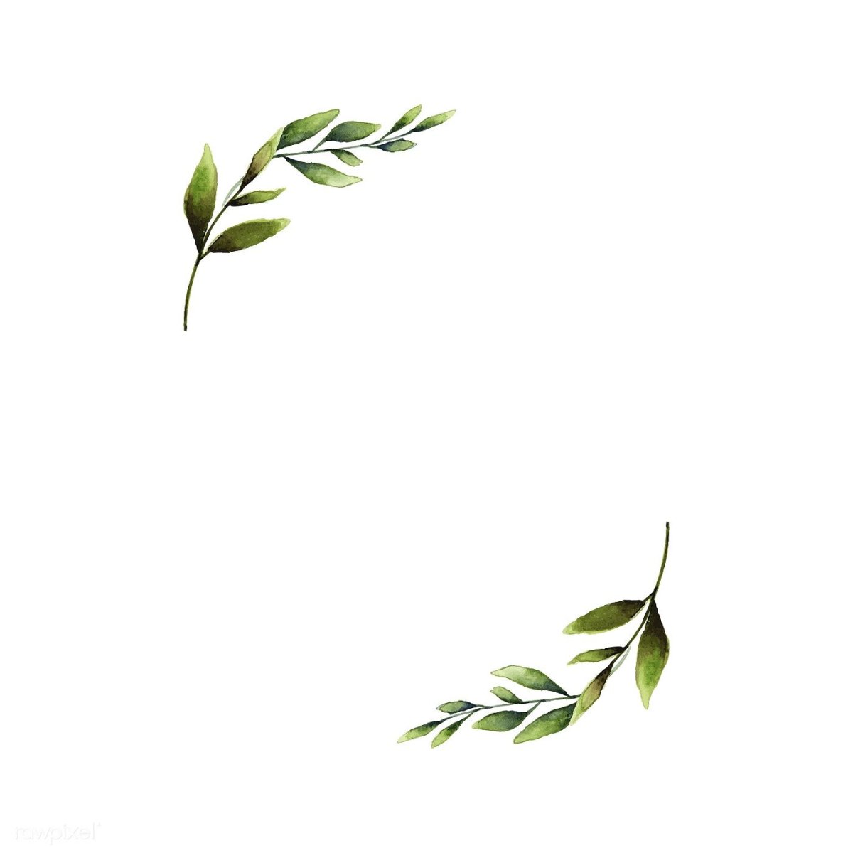 Веточка Минимализм