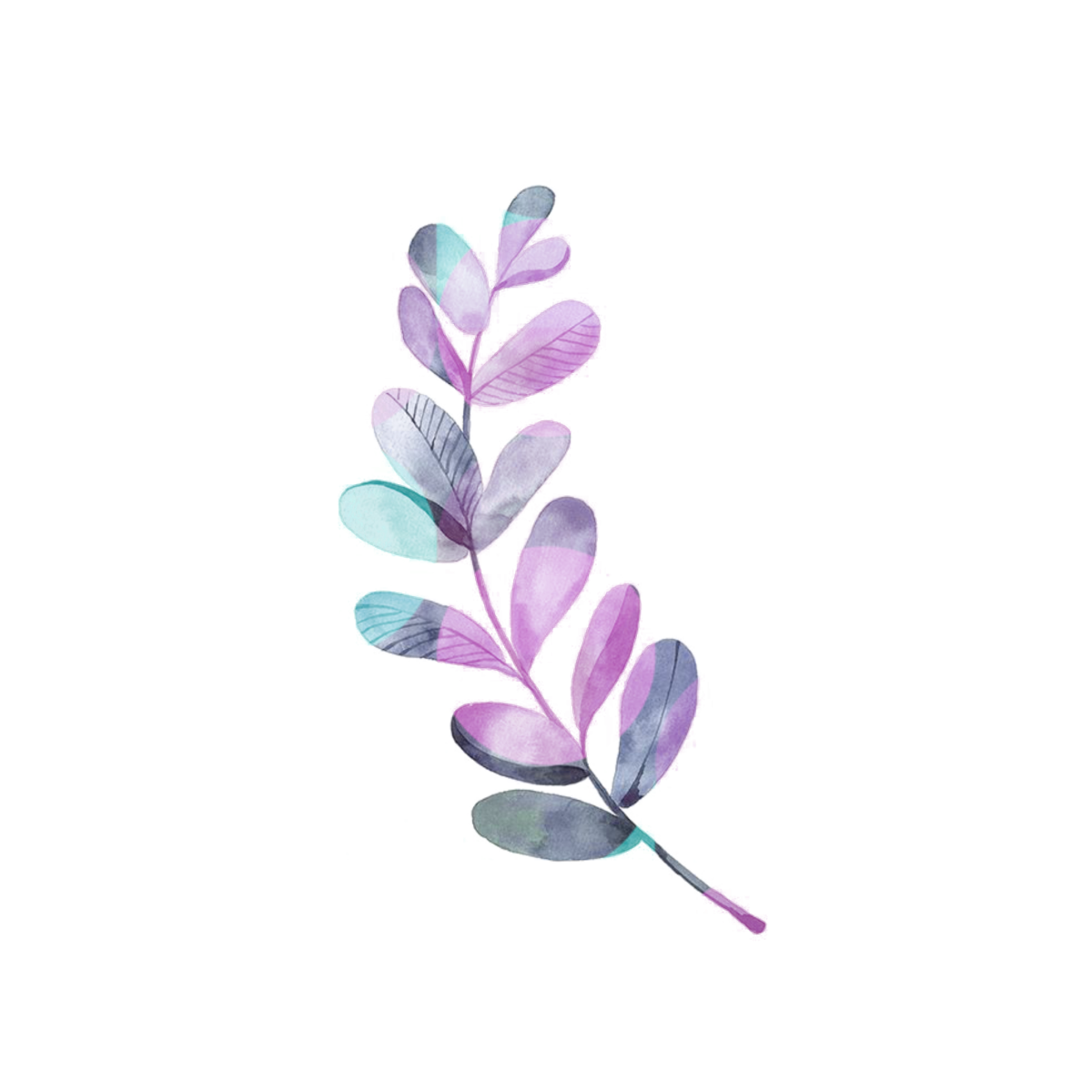 Акварельные веточки