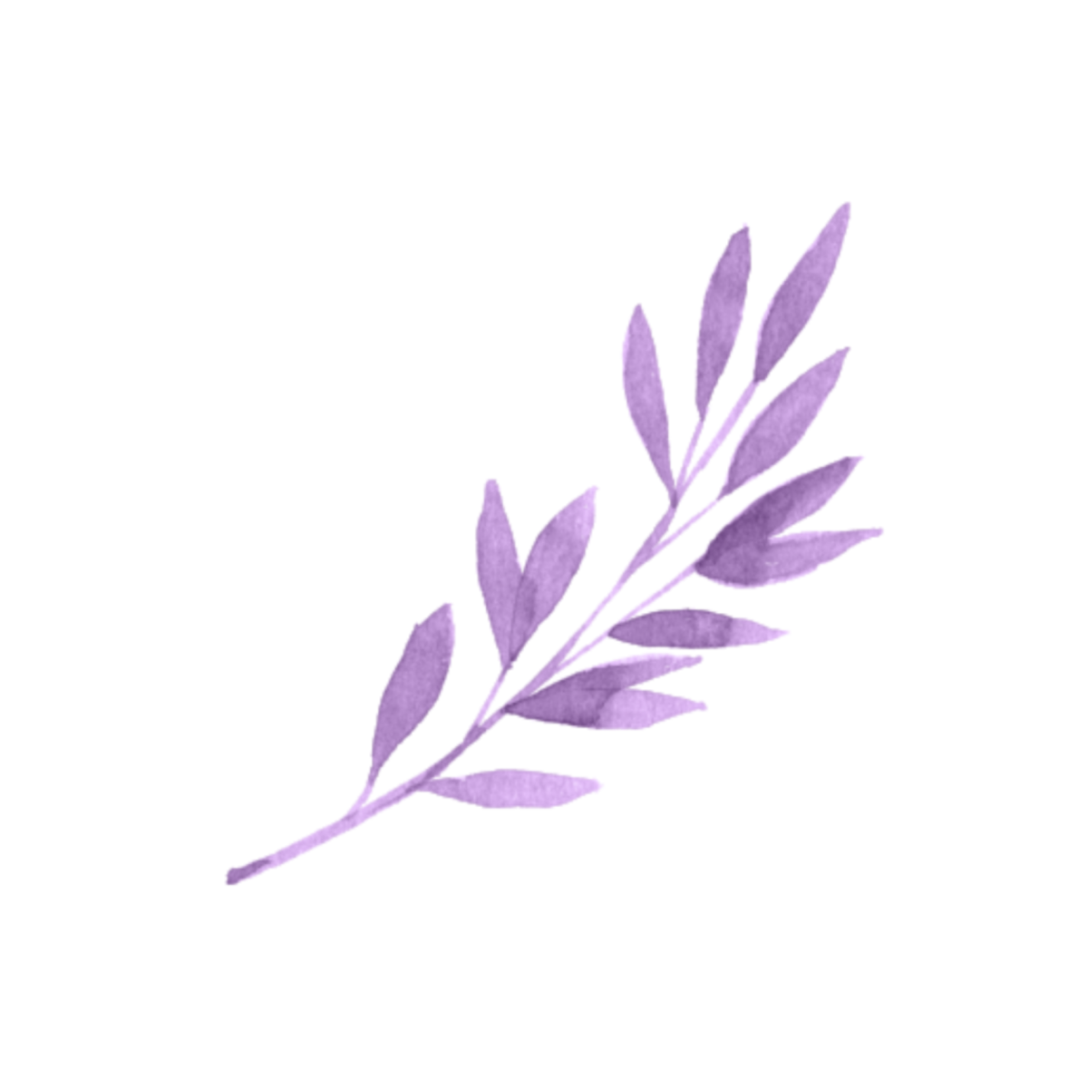 Фон с веточками