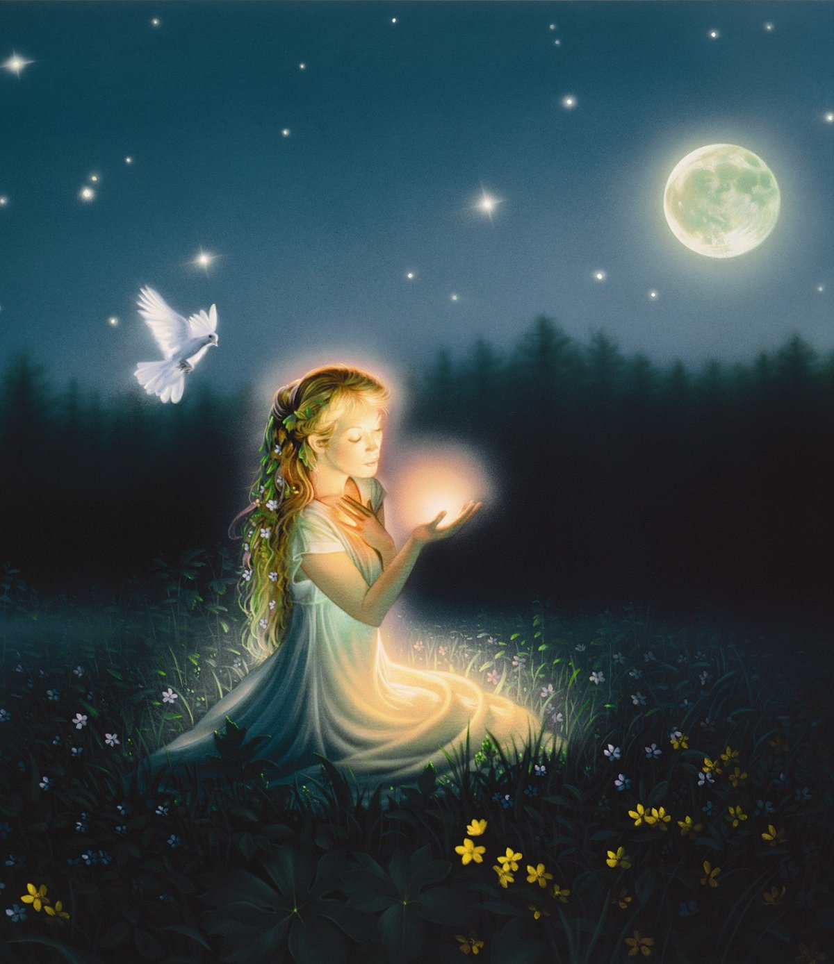 Волшебница ночь