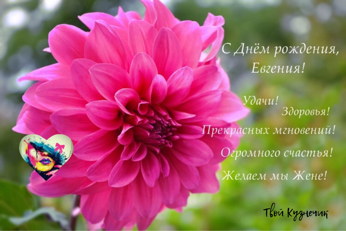 С днём рождения Евгения