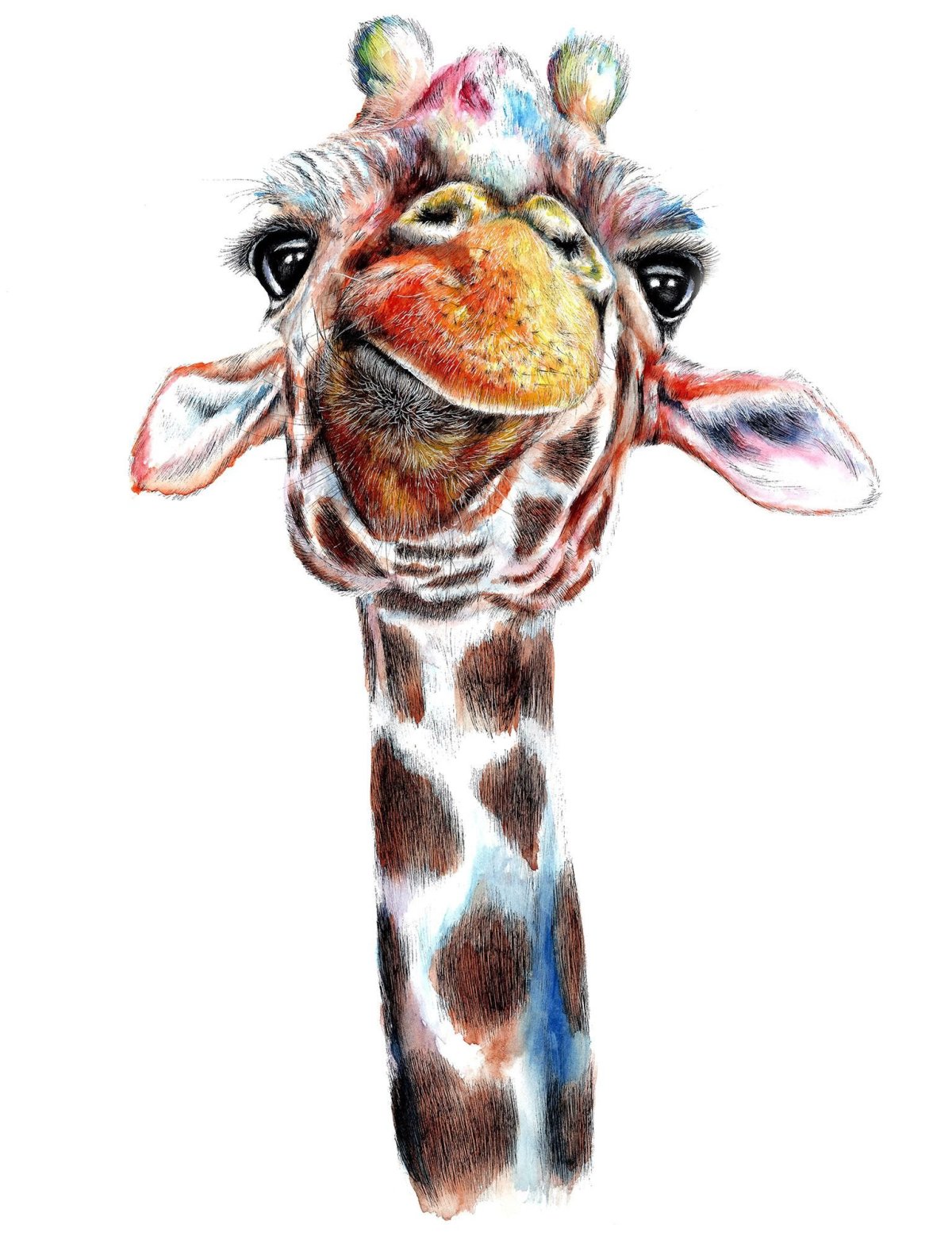 Живописный Жираф Даррелл