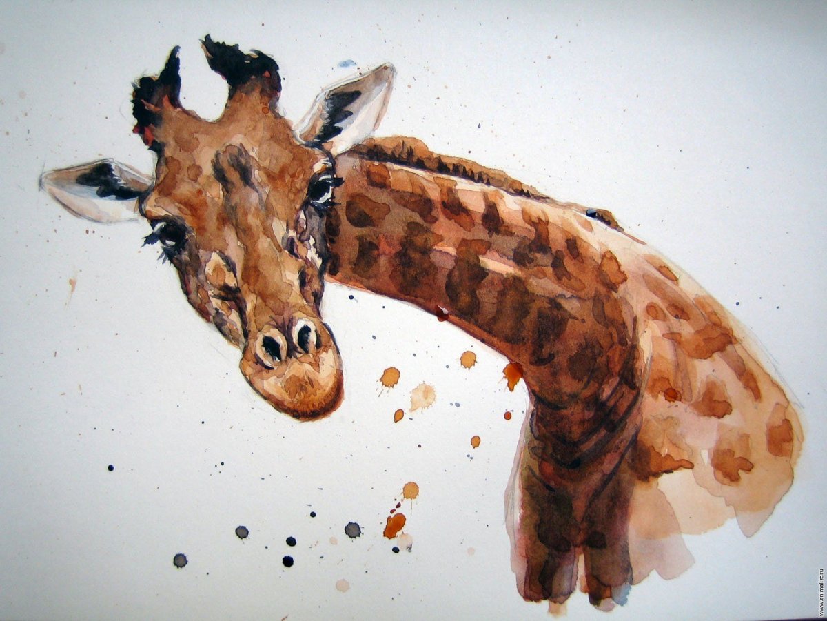 Акварельные животные для детей