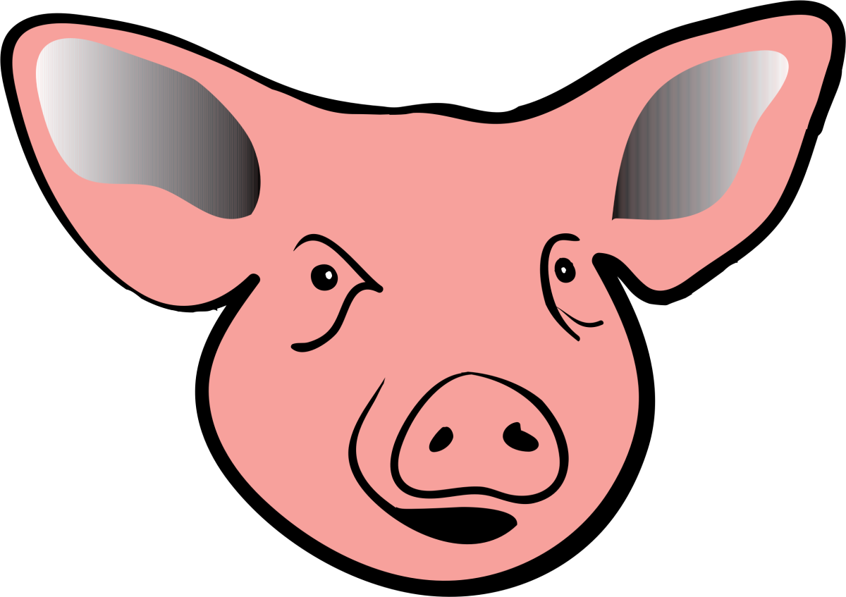 Голова свиньи рисунок