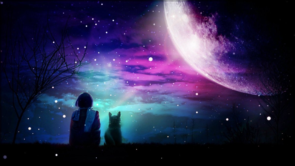 Звездное небо и человек