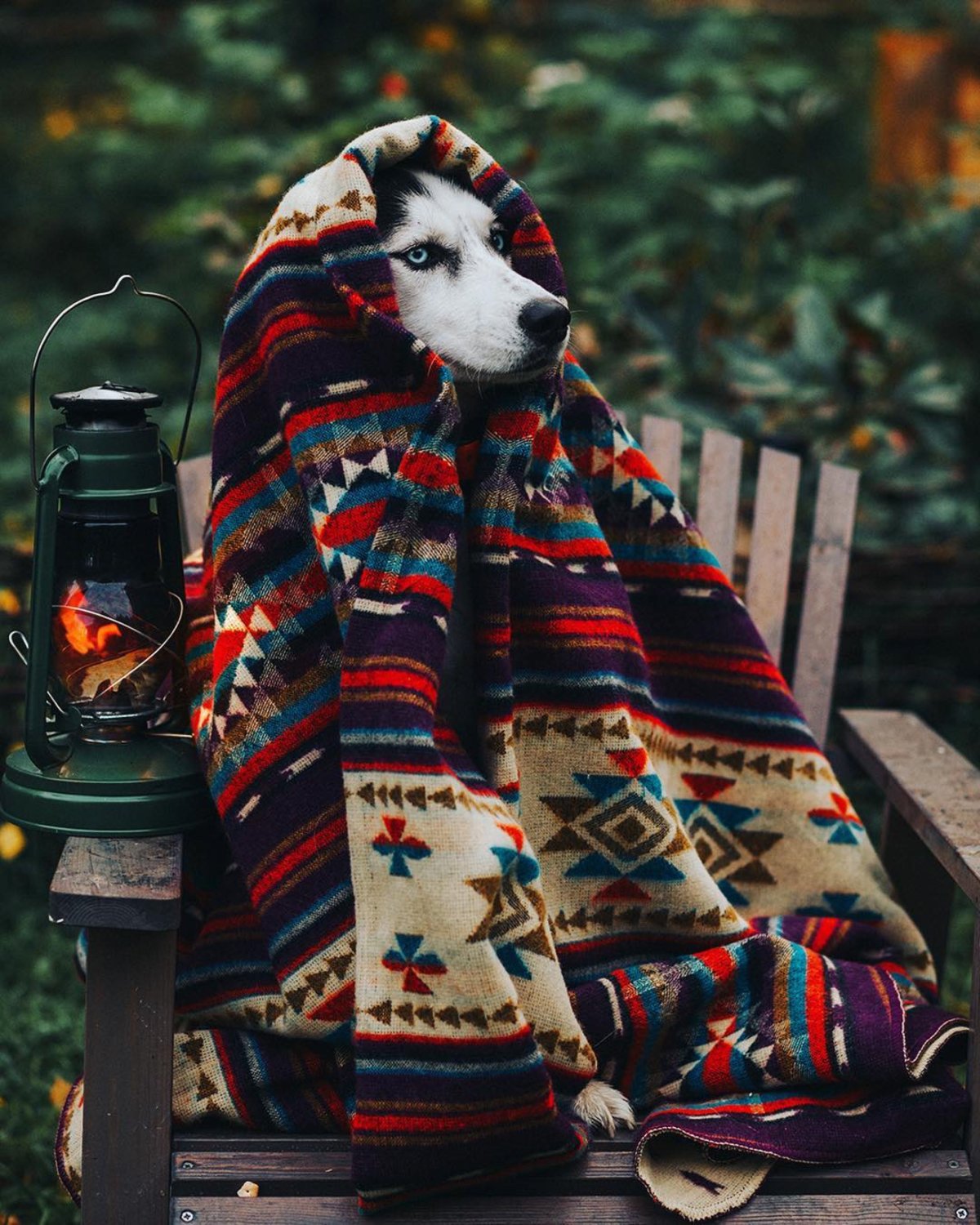 Наступило долгожданное лето