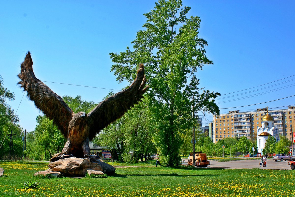 Орел в городе Орел