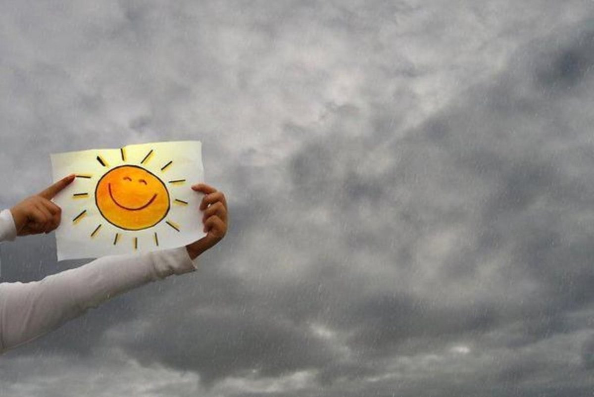 Mr.Pokee очаровательный ёж-путешественник