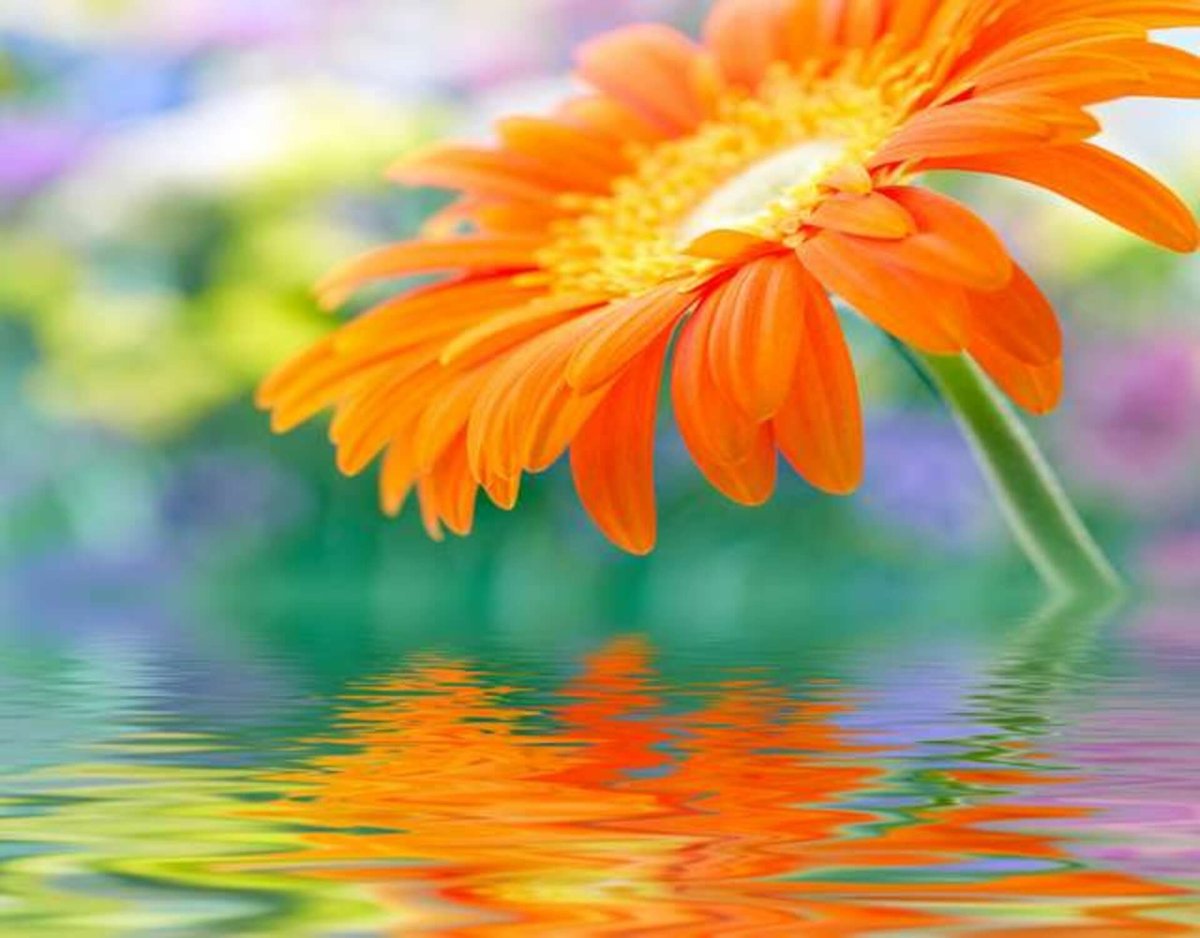 Открытки с днём рождения женщине