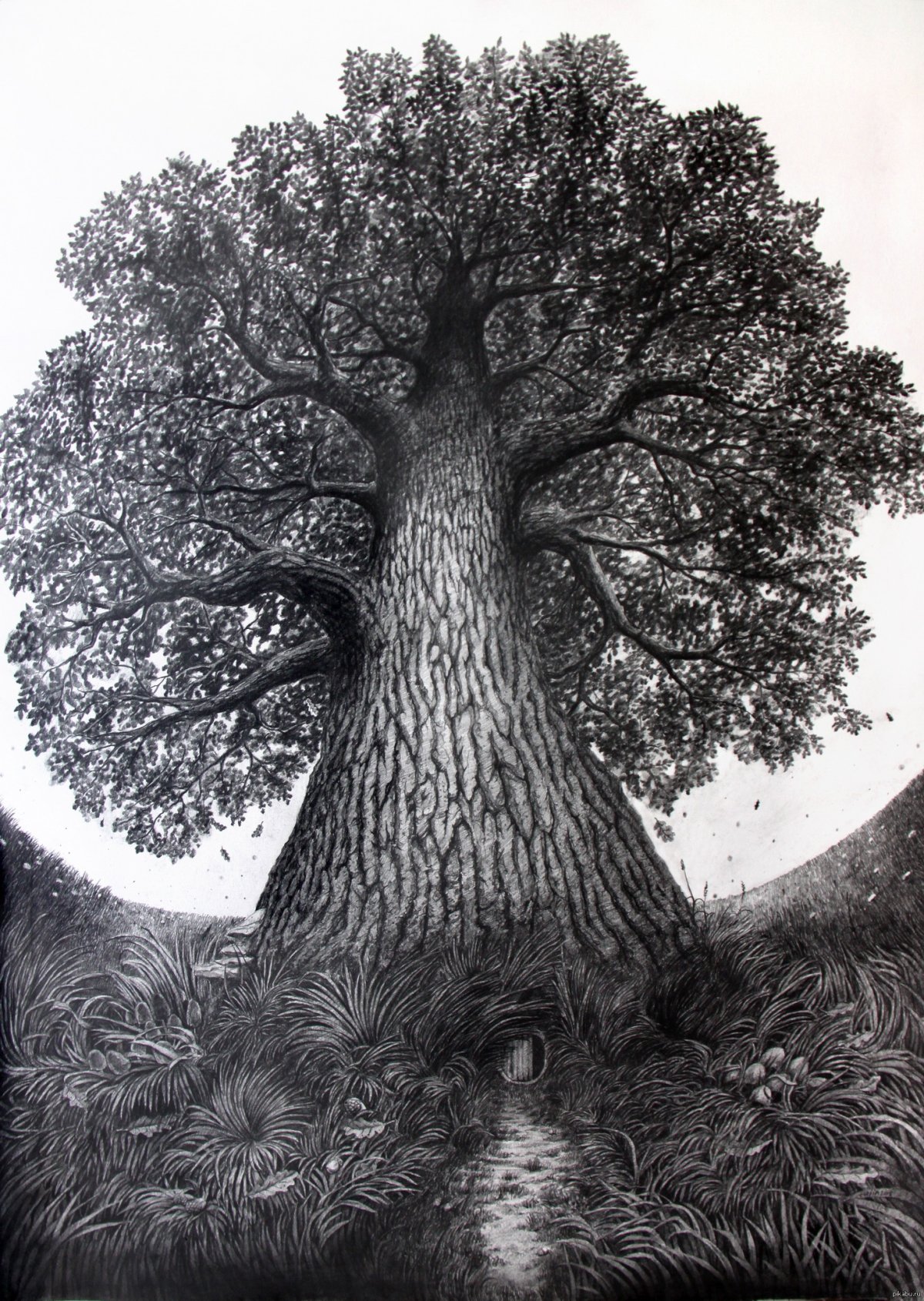 Дерево черной ручкой