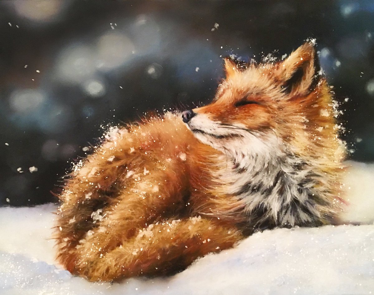 Дикие животные зимой