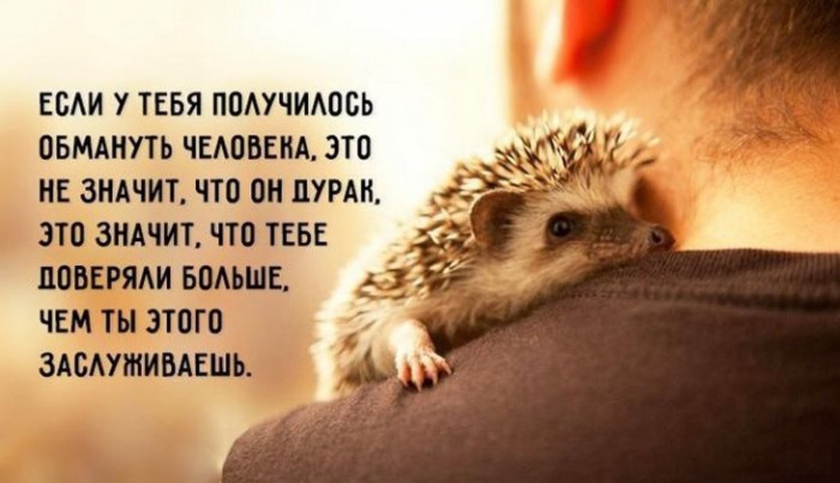 Позитивные высказывания