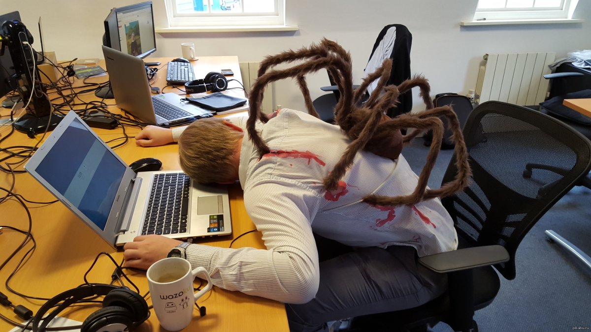 Приколы на рабочем месте в офисе