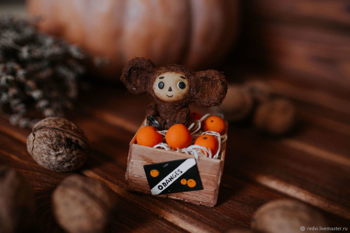 Чебурашка в апельсинах