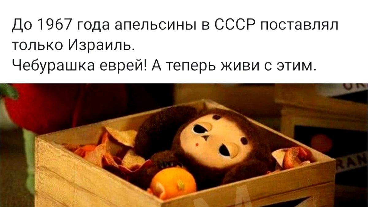 Чебурашка апельсины мультфильм