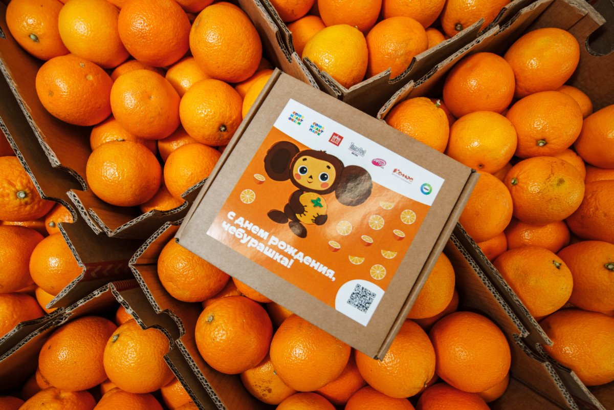 Чебурашка в апельсинах