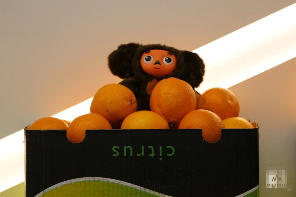 Хочешь сладких апельсинов