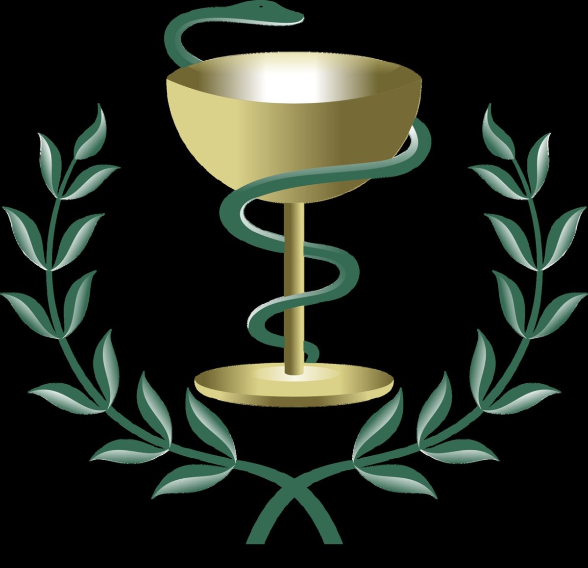 Эскулапова змея символ медицины