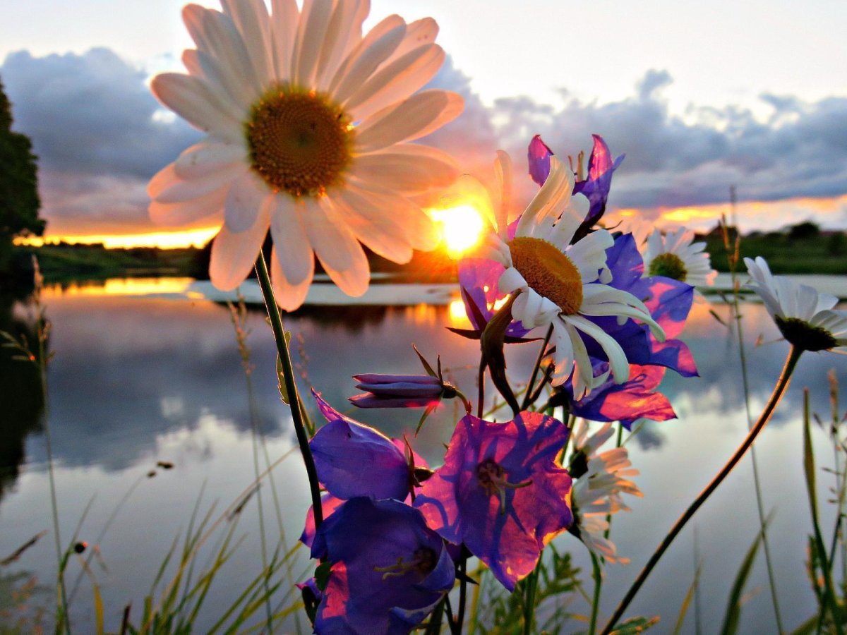 Приятного летнего вечера