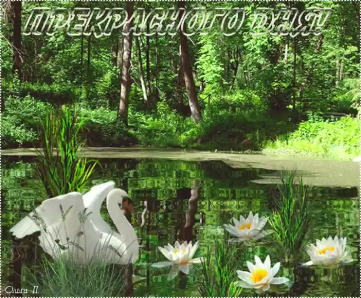 Открытки добрый день природа