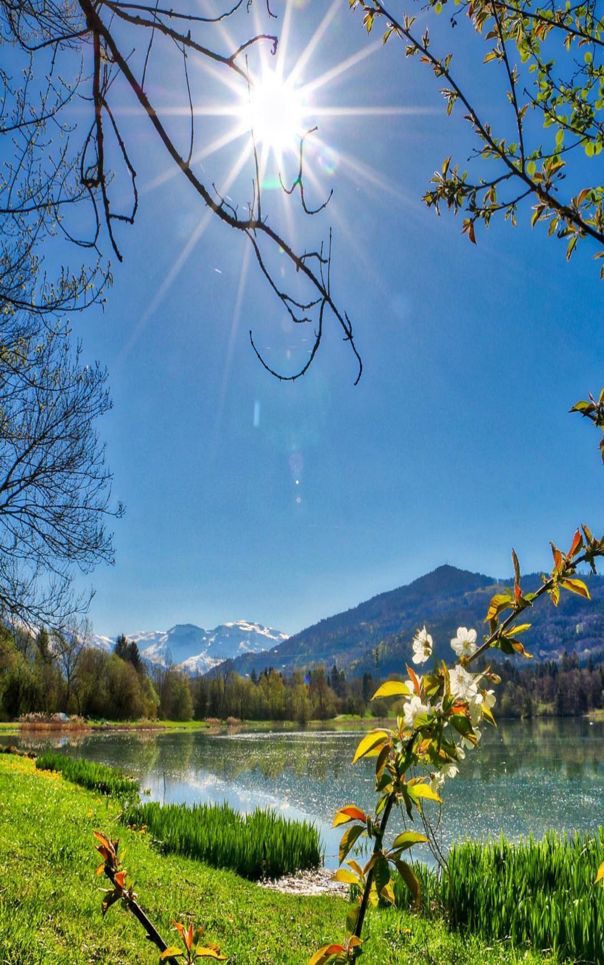 Весенняя природа