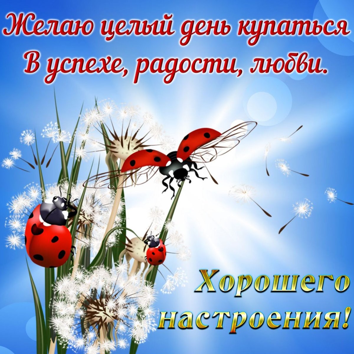 Хорошие пожелания на каждый день